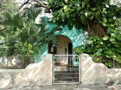 latest property