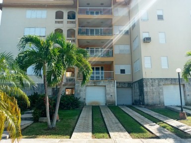 latest property