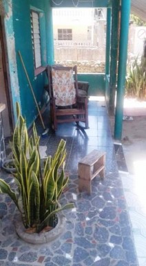 latest property