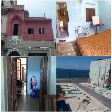 latest property