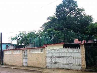 latest property