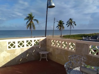 latest property
