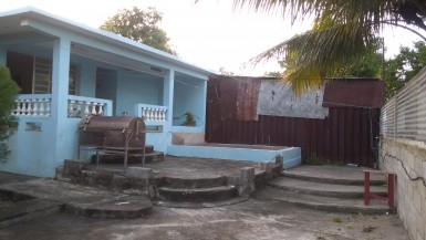 latest property