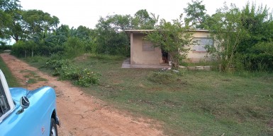 latest property