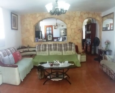 latest property