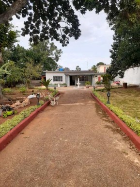 latest property