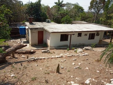 latest property