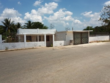 latest property