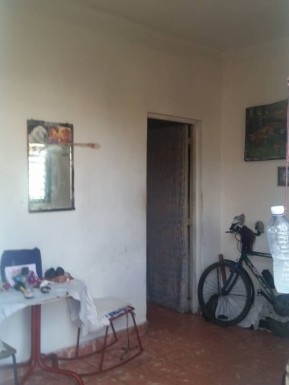 latest property