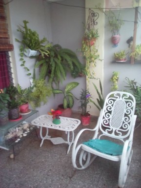 latest property