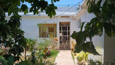 latest property