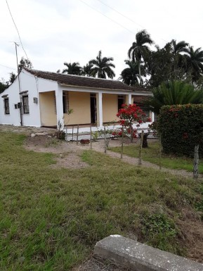 latest property