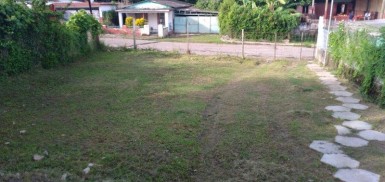 latest property