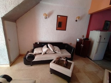 latest property