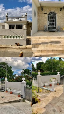 latest property