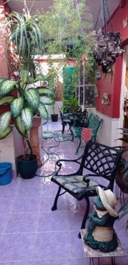 latest property