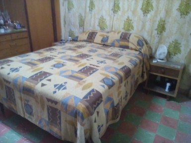 latest property