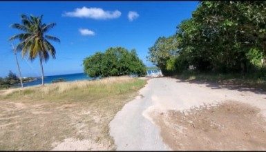 latest property
