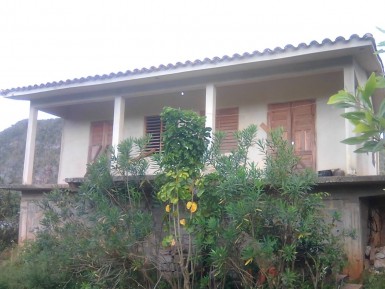 latest property