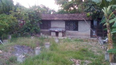 latest property
