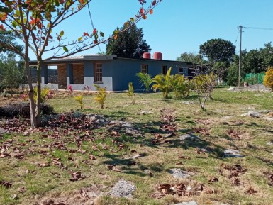 latest property