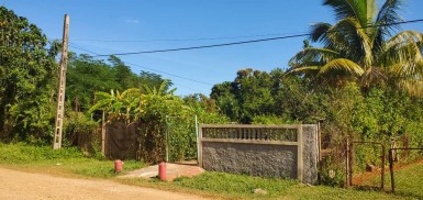 latest property