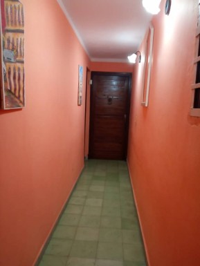 latest property