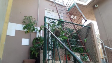 latest property