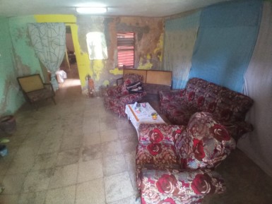 latest property