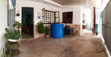 latest property