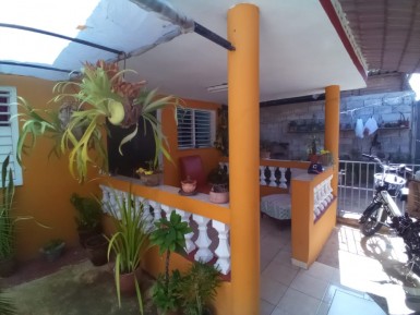 latest property