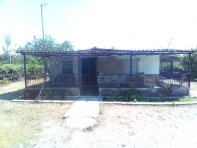 latest property