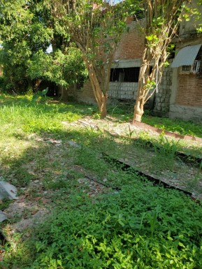latest property