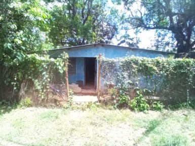 latest property