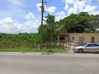 latest property