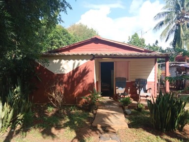 latest property