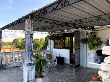 latest property