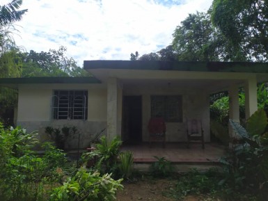 latest property