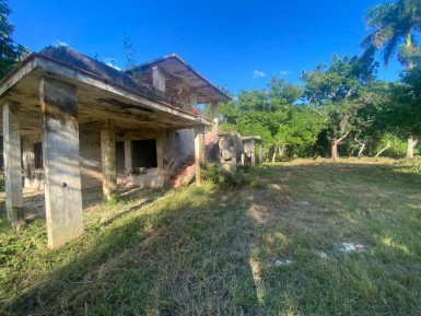 latest property