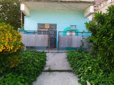 latest property