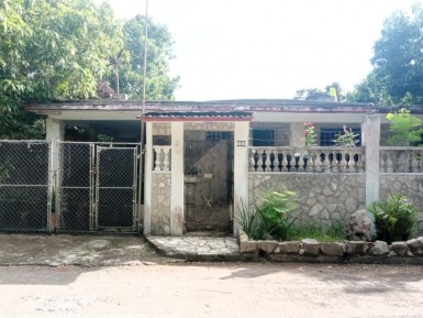 latest property