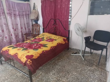 latest property