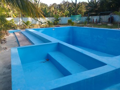 latest property