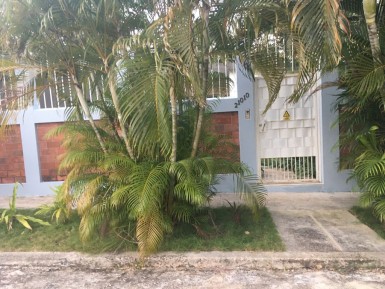 latest property