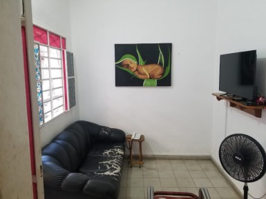 latest property