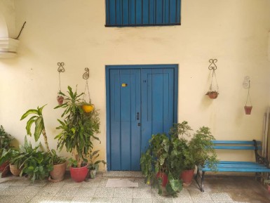 latest property