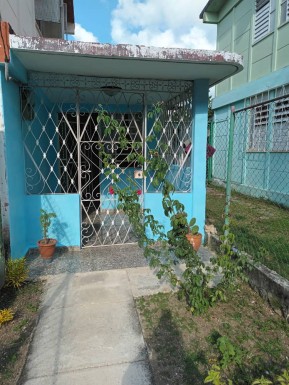 latest property