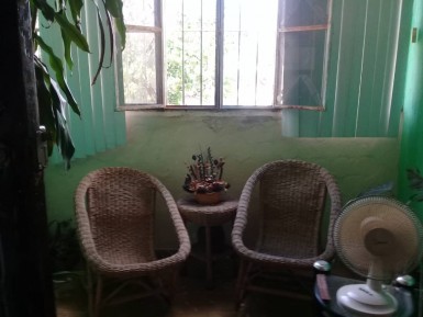 latest property