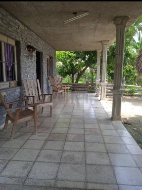 latest property