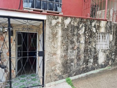 latest property